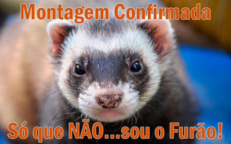 montador-de-moveis-furao