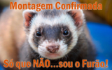 Agendamento de Montagem: Socorro, meu montador deu cano!